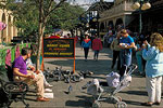 Market Square - El Mercado and Farmers Market