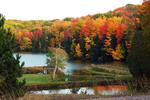 Beautiful Fall Colors