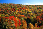 Fall Color Images