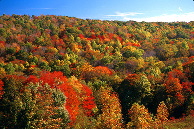 Fall Color Images