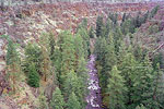 Mill Creek
