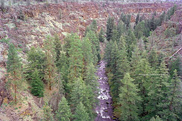 Mill Creek