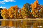 Flyfishing near Missoula