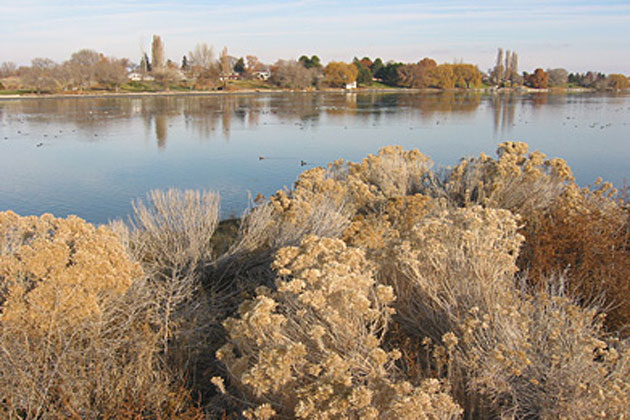 Potholes Resevoir