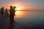 Sunset Fishing