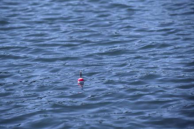 Fishing Bobber
