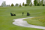 Golfing 