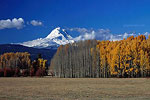 Mt Adams Washington