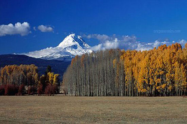 Mt Adams Washington