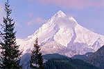 Mt Hood from Lolo