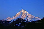 Mt Hood