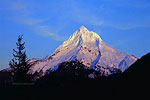 Mt Hood