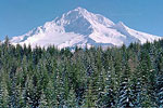 Mt Hood