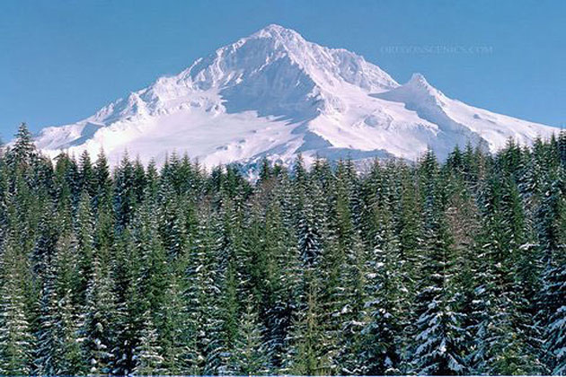 Mt Hood