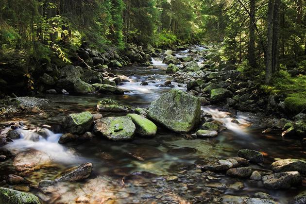 Rolling Streams of the Appalachians