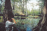 Steinhatchee  
