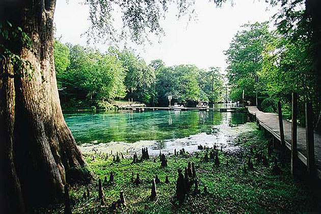 Suwannee River
