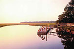 Amelia Island