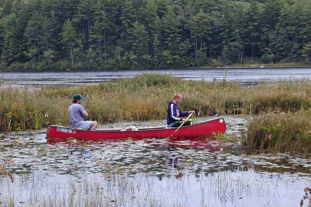 Bear Brook State Park