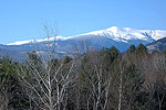 Mount Washington from Intervale