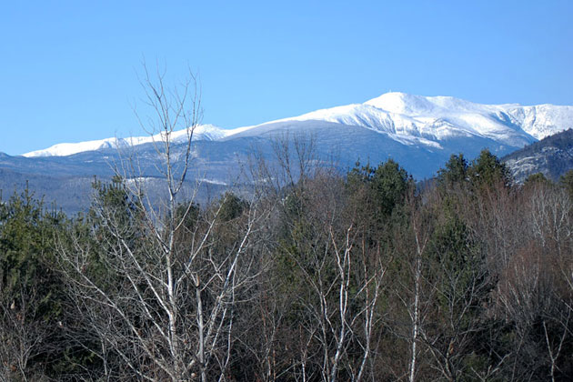 Mount Washington from Intervale