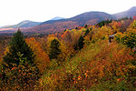 White Mountains Autumn