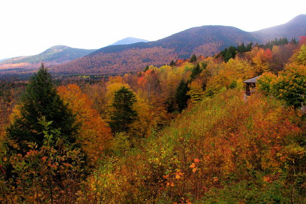 White Mountains Autumn