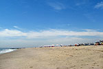 Cape May Beach