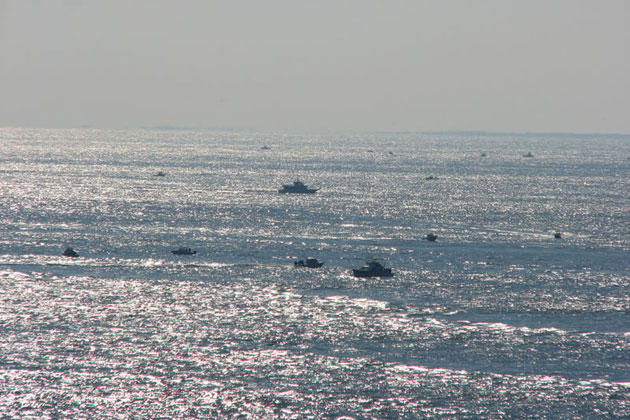 Cape May Ocean View
