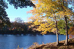 Worthington State Forest Campsite