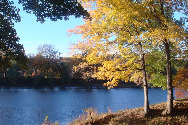 Worthington State Forest Campsite