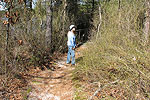 Wharton State Forest