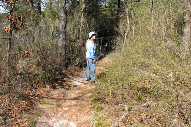 Wharton State Forest