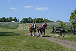 Mercer County