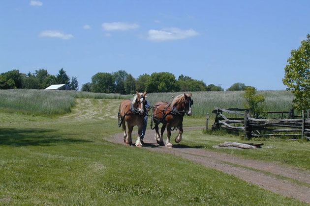 Mercer County