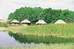 Everglades  
