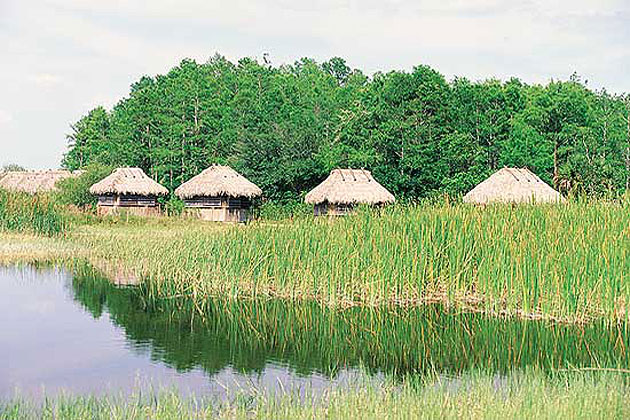 Everglades