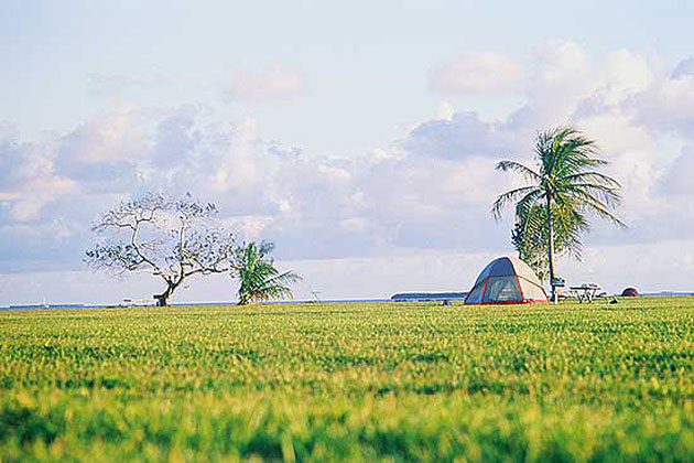 Everglades  