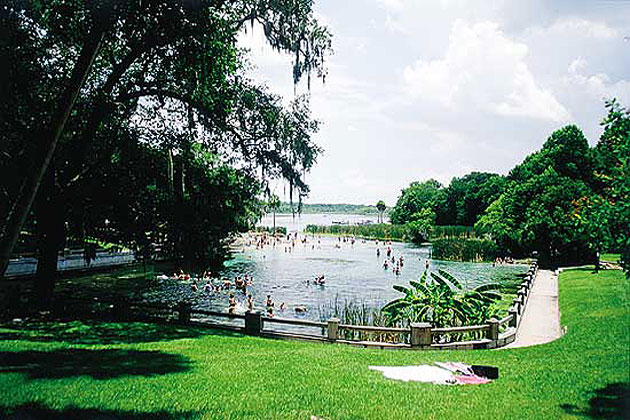 Salt Springs Ocala Forest