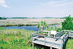 St Marks Wildlife Refuge