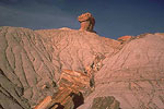 Petrified Forest National Park