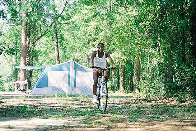 Apalachicola National Forest