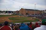 Seadogs Baseball