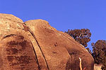 Bouldering