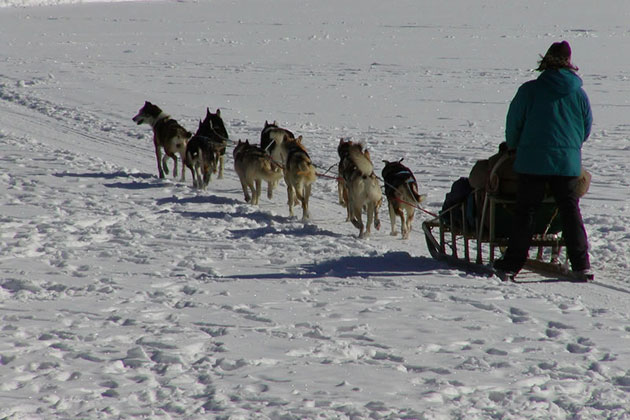 Lake Placid Dogsled