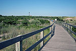 Fire Island