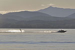 Lake Champlain Skiing