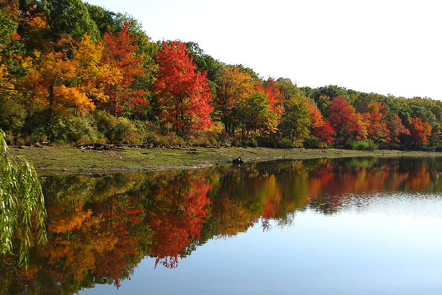 Fall in the Catskills