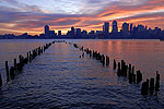 NYC View