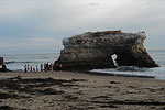 Natural Bridges State Beach